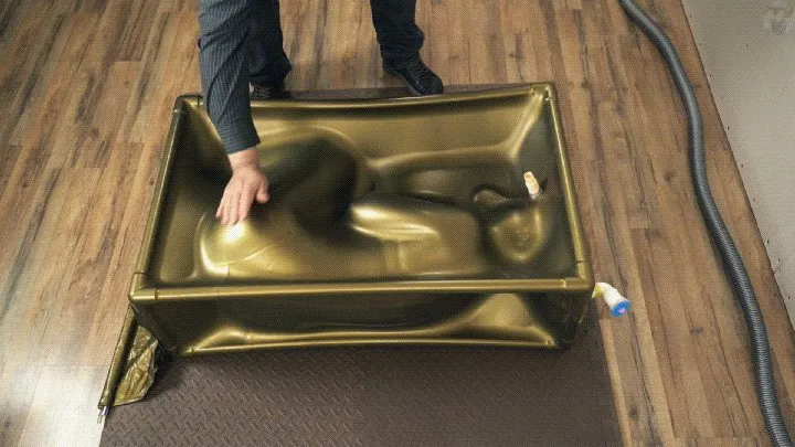 Vacuum Dreams - Fetal position in a golden cube