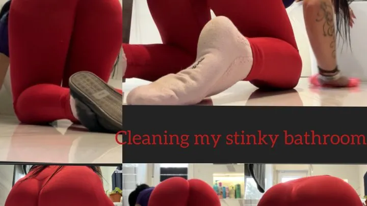 Prettyprincess - Cleaning my dirty bathroom