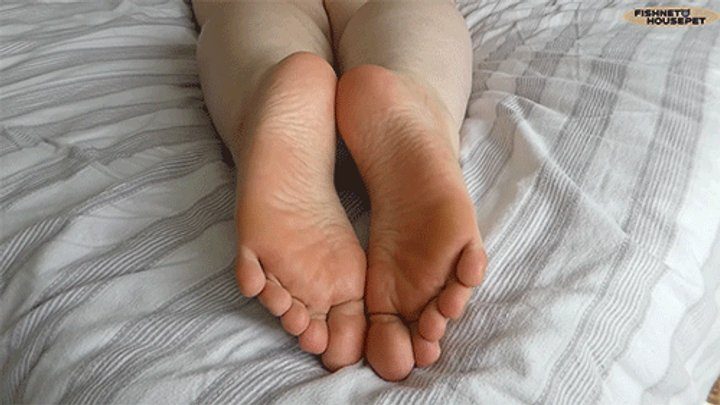 Fishnethousepet - Stare At My Big BBW Soles (WMV)