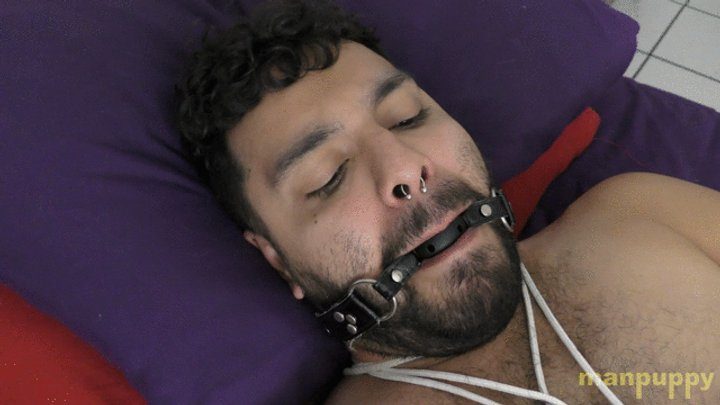 Manpuppy - Cub Struggling in Bondage - Demetri Silver - Manpuppy - MP4 1080