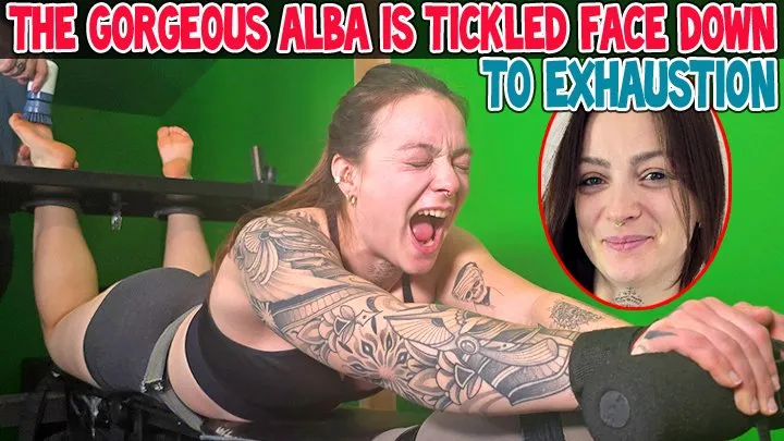 Tickle Frenchtickling  Store - THE GORGEOUS ALBA IS TICKLED FACE DOWN TO EXHAUSTION - FULL HD MP4