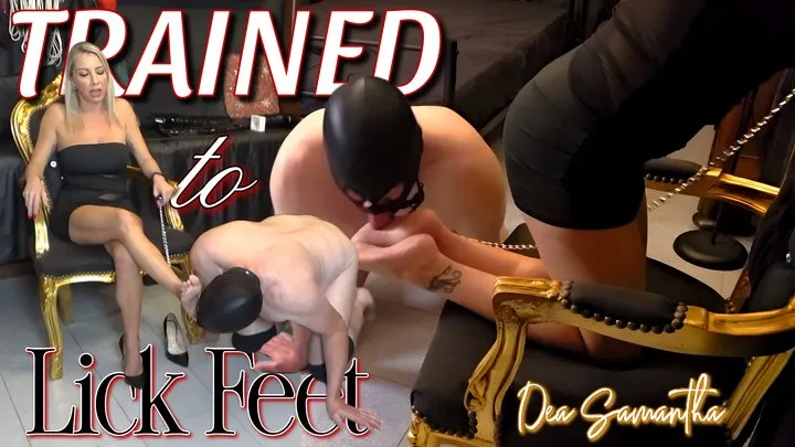 Lady Samantha - WORSHIP MY FEET