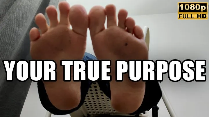 Kingdom Pictures - Feet, Your True Purpose - Full HD 1080p - KingMarti