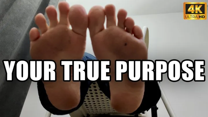 Kingdom Pictures - Feet, Your True Purpose - 4k UHD 2160p - KingMarti
