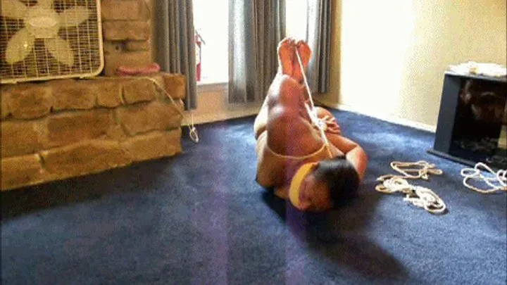 Blackfoxbound Clip Store - Playdate