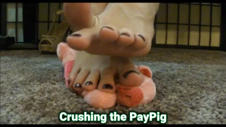 Flawless Melissa Fetish - Foot Play With the Pay Pig Foot Fetish Long Toes Stomping