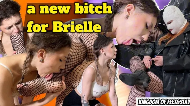 Kingdom Of Feet And Slaves - a new bitch for Brielle (4K)