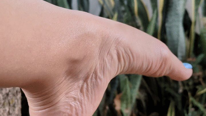 Foot Fetish Paradise - High foot arches and sublime wrinkles by Katherine