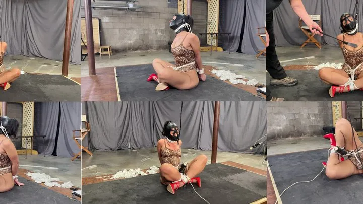 Lew Rubens Alpha Productions - Calisa Bliss Nonstop Pt4
