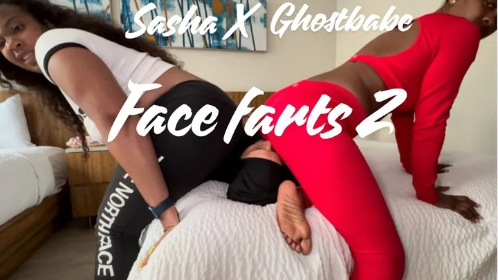 Ghostbabe's Chamber - Double Gassy Maintenance Mishap – The Complete Visit
