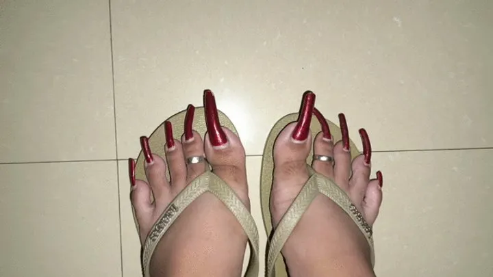 The Dragon's Den - AlluringClaws' feet