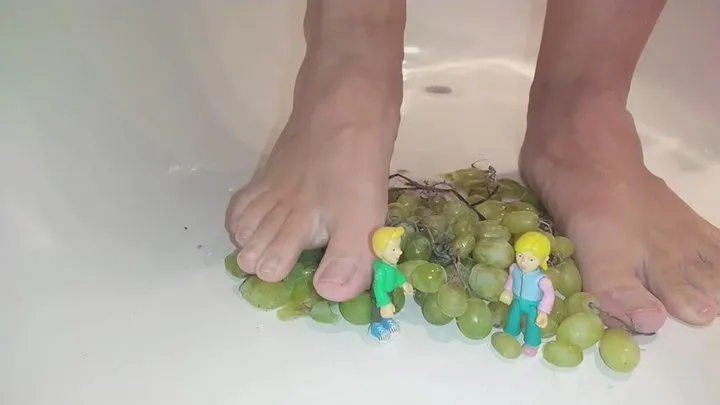 Richard Feed Store 475723 - Crushing grapes and tinies