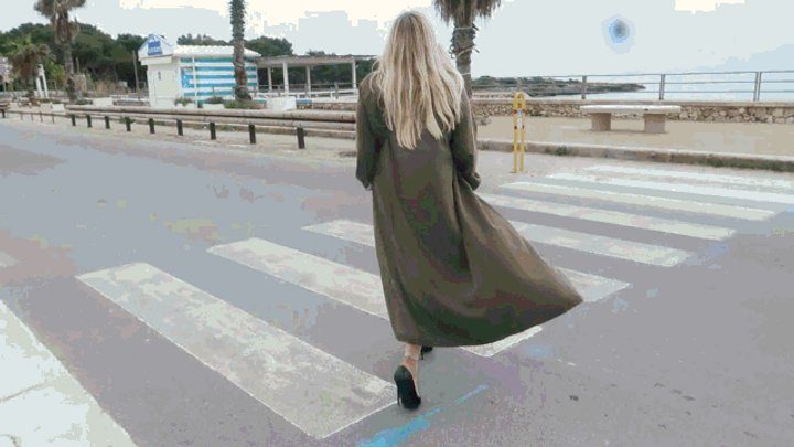Princess Of Volcanoes - Taking Tim for a Walk WMV