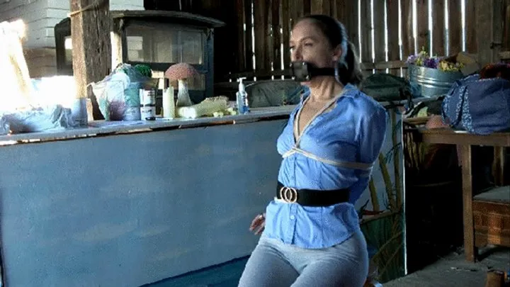 Bondage Stories - Barn Bondage Punishment for Rachel