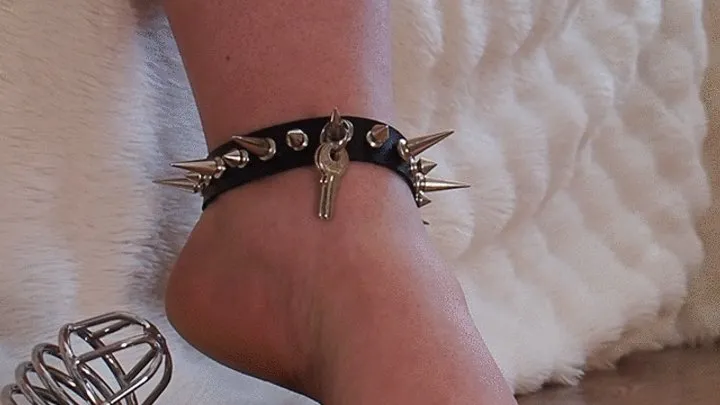 Anastasia Gree Clip Store - The Key #13