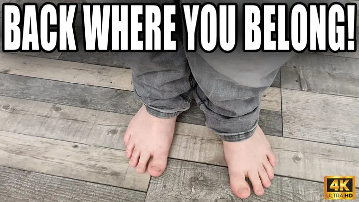 Kingdom Pictures - Back Where You Belong - At My Feet - 4k UHD 2160p - KingMarti