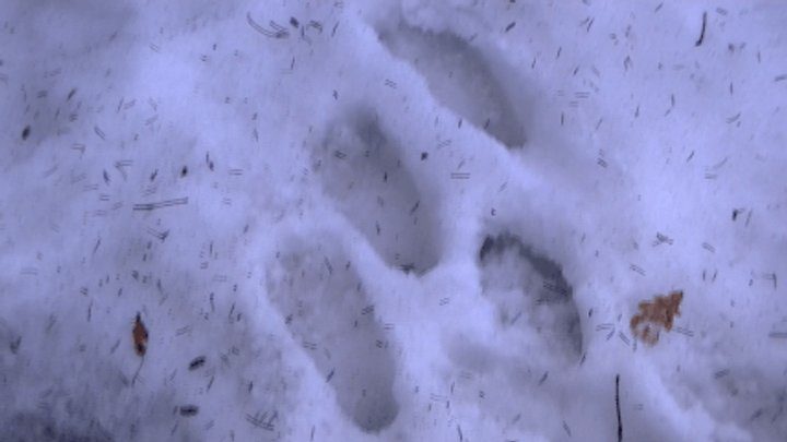 My Master's Feet - Bare feet in March (mp4)