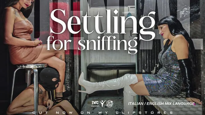 Kinkamiquesto - DULA and IMPERATRICE - Settling for sniffing [ITA-ENG mix] Mobile Version