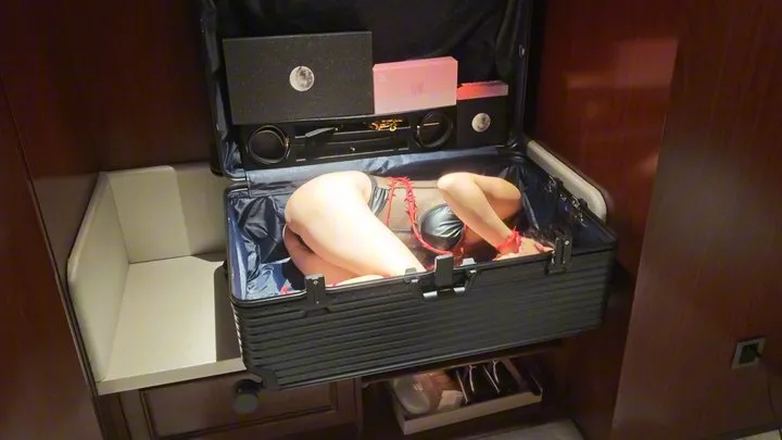 Asas - Suitcase petplay doggy style bondage sm with puppy girl and her friends in hotel #CL062