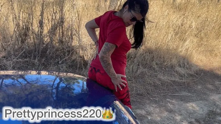 Prettyprincess2 And Ricardo73 - farting and smashing them in the car