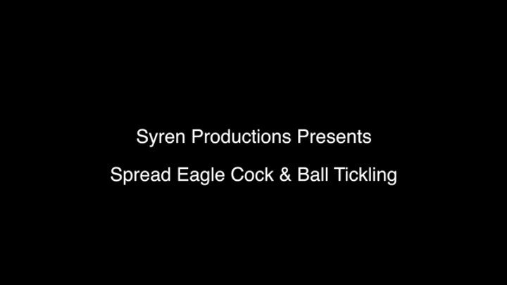 Mistress Aleana's Queendom - Spread Eagle Cock & Ball Tickling (MOV HD)