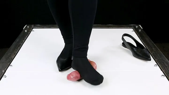 Sweet Queen - Shoejob Sockjob Footjob and Cock Trampling in Cockbox Ballet Flats