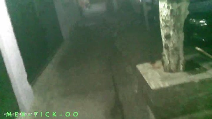 Mex-tick-oo - CUARTO VIDEO DE JOSH, JOSE LE HACE COSQUILLAS